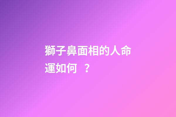 獅子鼻面相的人命運如何？
